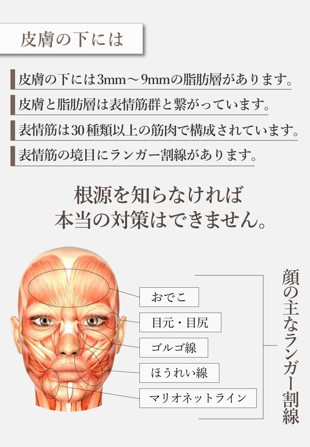 新美容成分 高濃度配合 マッサージングケア専用 エイジングけタイプ 抗シワ美容液クリーム ディアフルラン