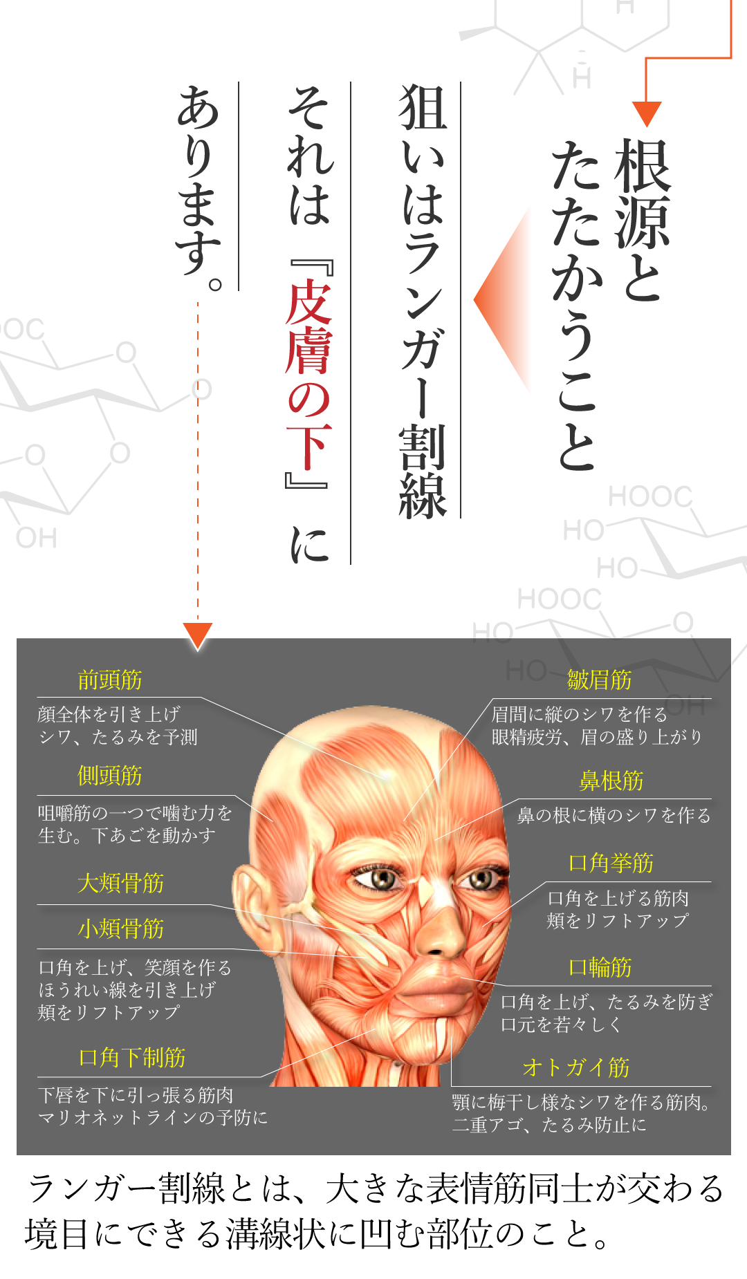新美容成分 高濃度配合 マッサージングケア専用 エイジングけタイプ 抗シワ美容液クリーム ディアフルラン